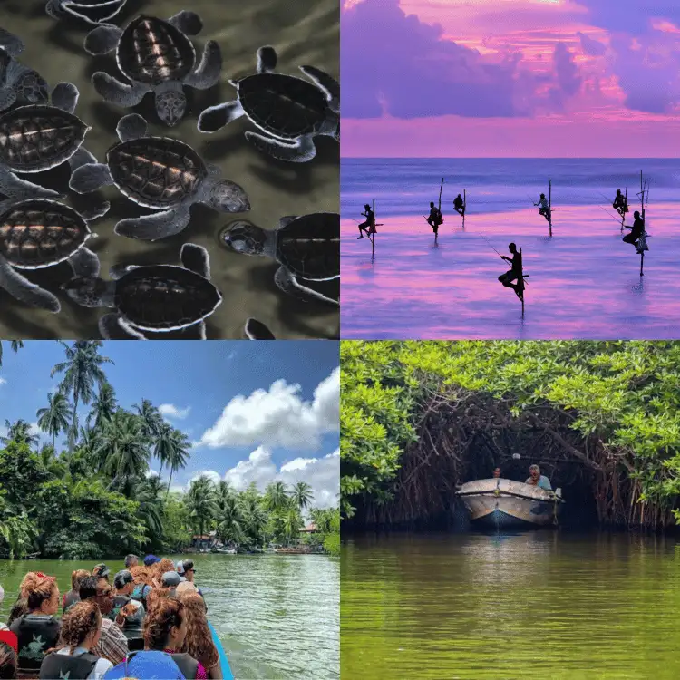 Balapitiya-Kosgoda-Sri-Lanka-Tour