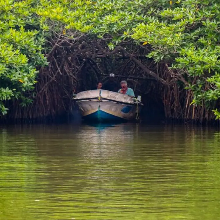 Balapitiya-Madu-River-Boat-Safari-Sri-Lanka