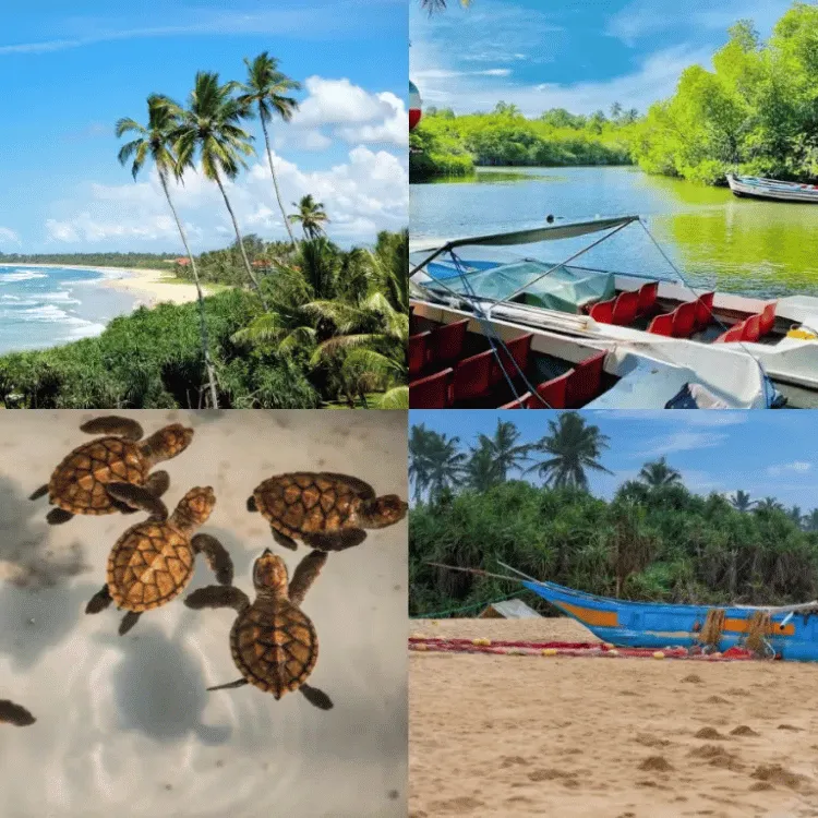 Bentota-Ahungalla-Madu-River-Balapitiya-Kosgoda-Turtle-Hatchery-Ambalangoda-South-Beach-Sri-Lanka