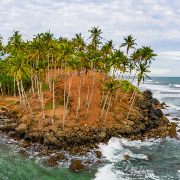 Mirissa-Coconut-Tree-Hill-Sri-Lanka
