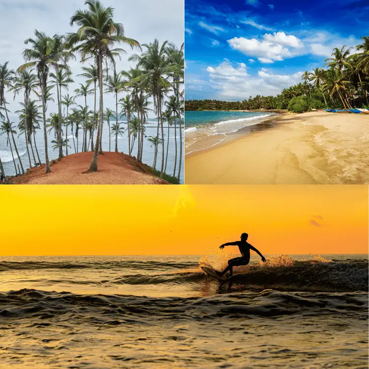 Mirissa-Sri-Lanka-Tour-2