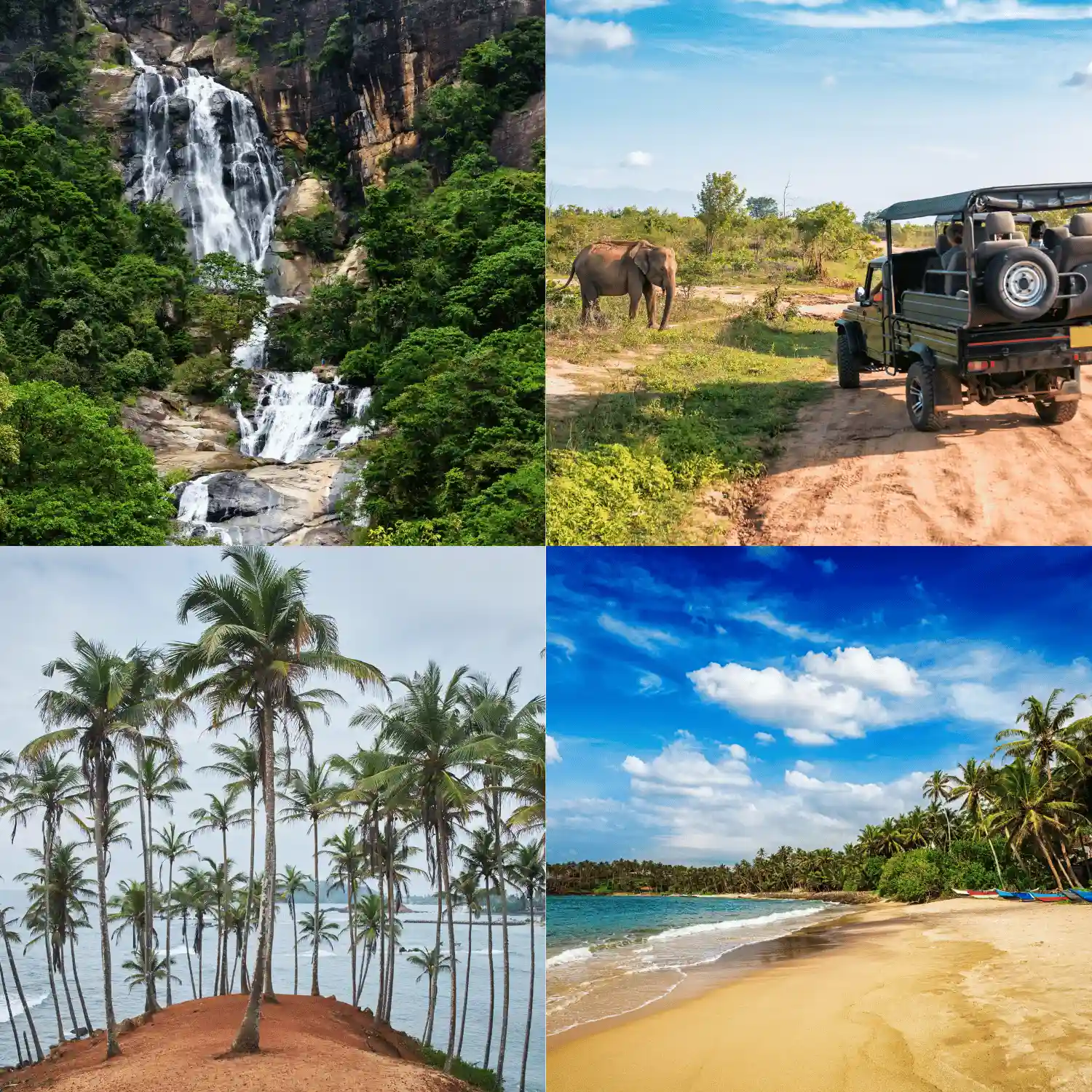Mirissa-Sri-Lanka-Tour