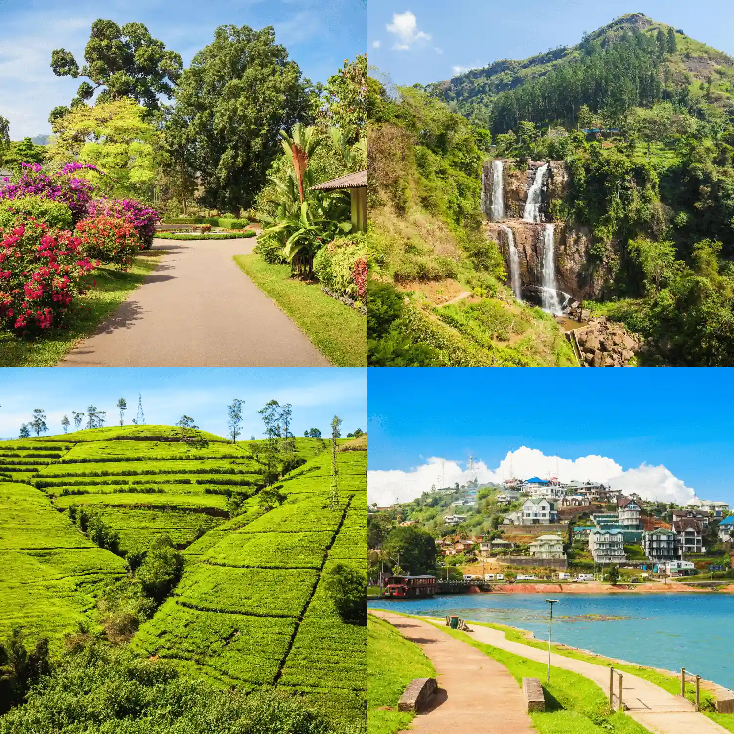 Nuwara-Eliya-Sri-Lanka-Tour