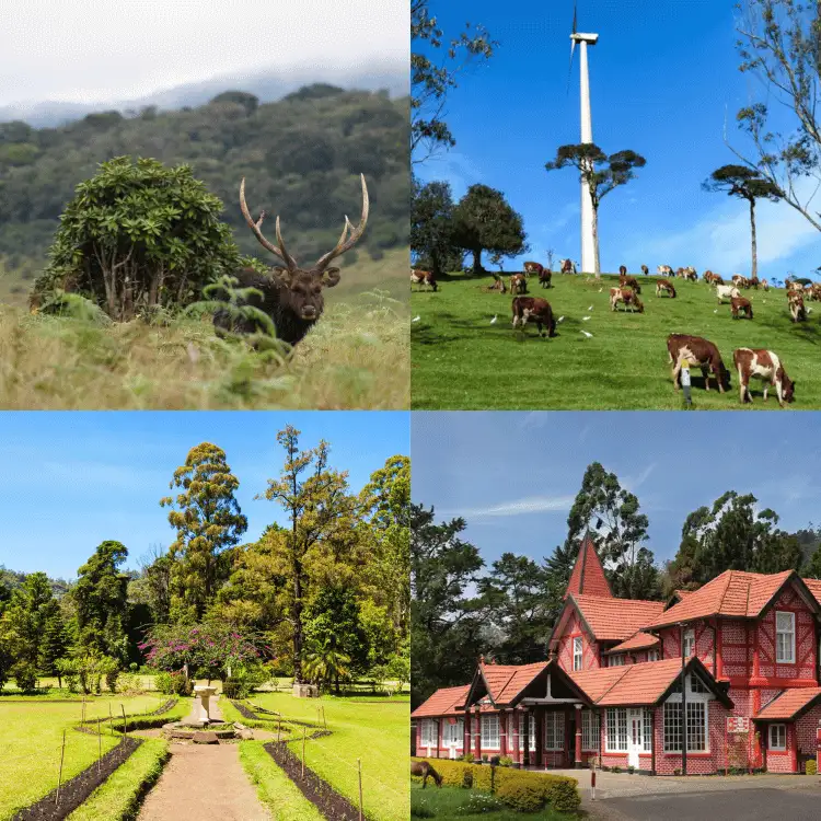 Nuwara-Eliya-Tour-Sri-Lanka-2