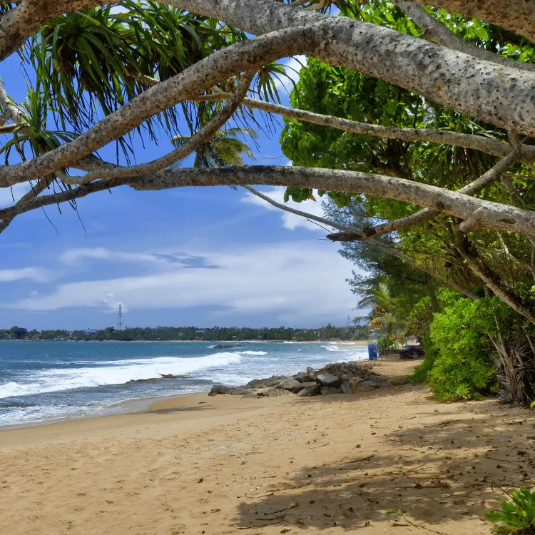 Tangalle-Sri-Lanka-South-Beach