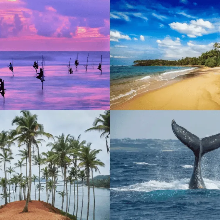 Weligama-Ahangama-Mirissa-Matara-Beach-South-Sri-Lanka