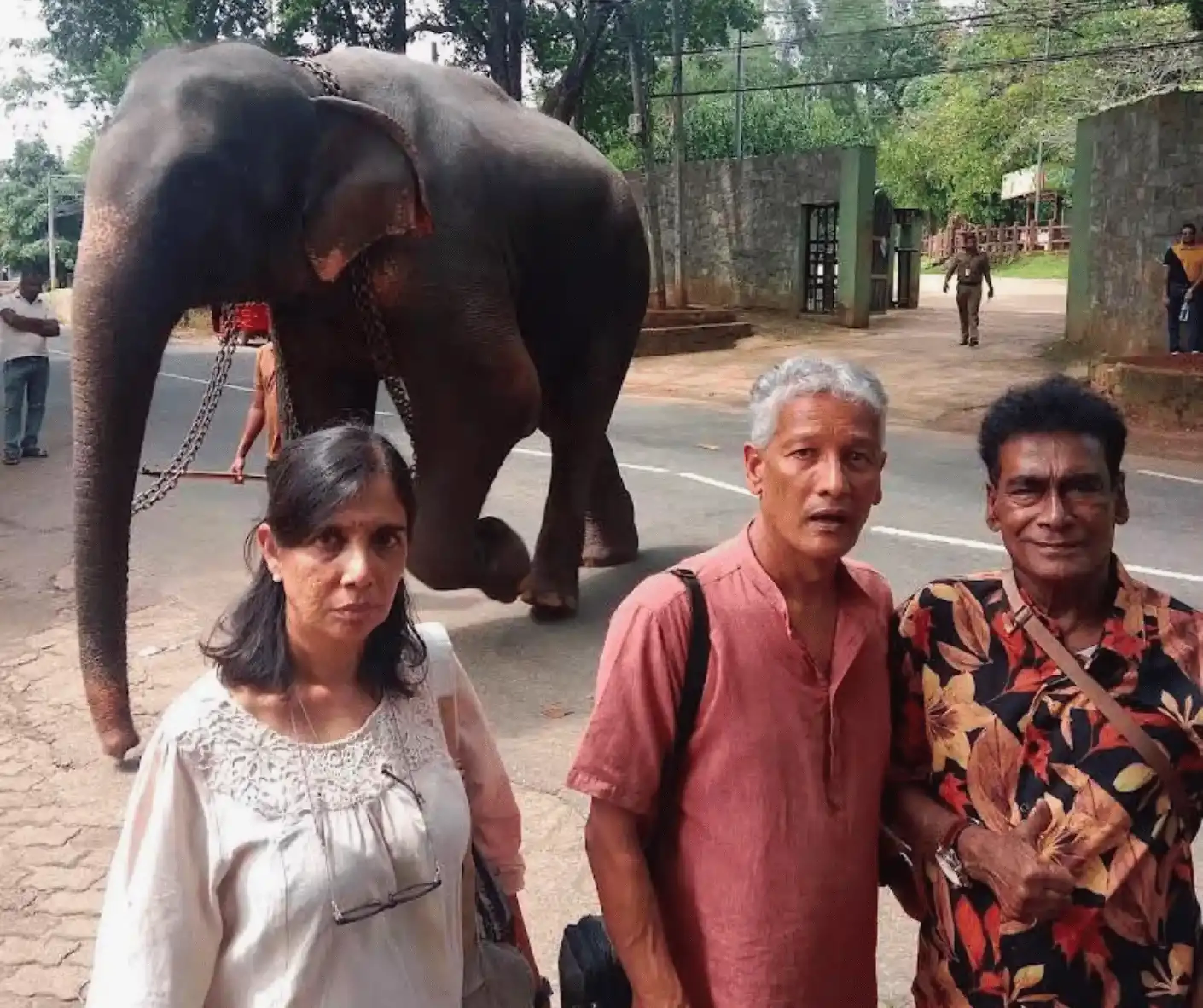 tourist travel group from malaysia traveling sri lanka trip with driver and guide with car in elephant orphanage pinnawala